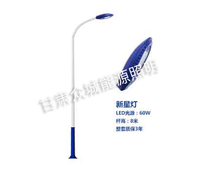 城西爆款市电路灯