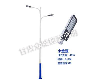 城西爆款市电路灯